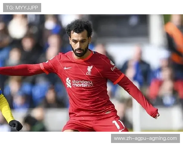 他信收购英超球队的详细流程与政策细则全解读