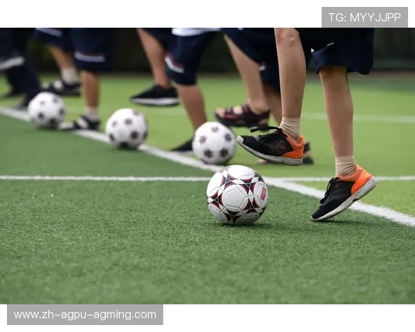 足球青训体系与人才培养模式的优化路径